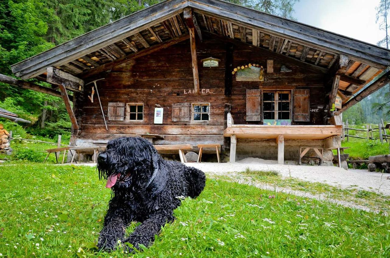 Pension Greti Schönau am Königssee Εξωτερικό φωτογραφία